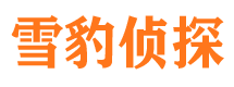 罗湖市私家侦探